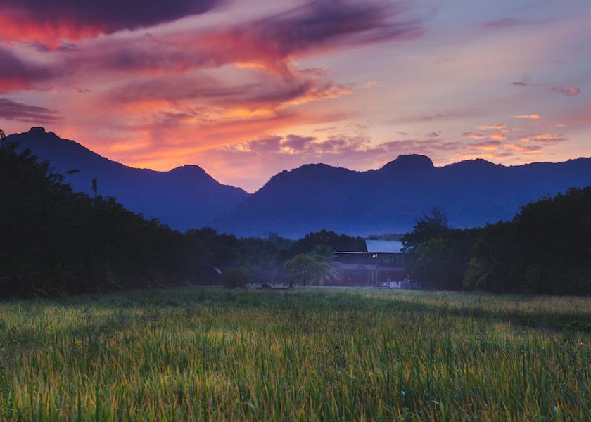 Central Province Dambulla Land view from property