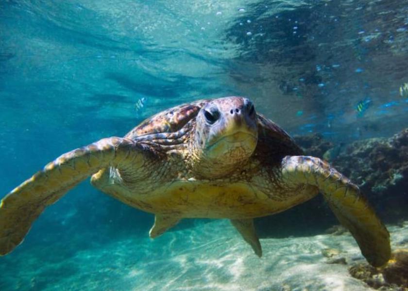 Galle District Hikkaduwa Exterior Detail