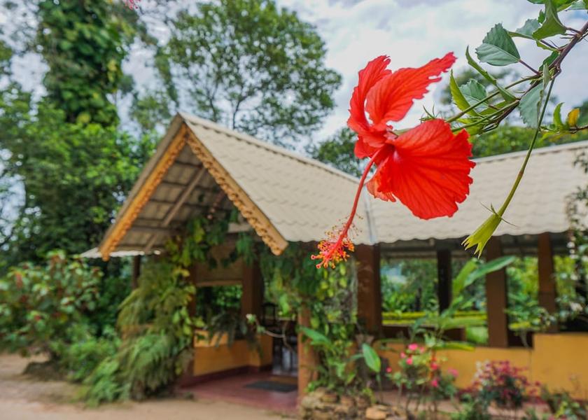 Uva Province Ella Front of property