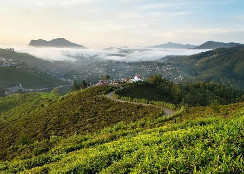Central Province Nuwara Eliya Property grounds