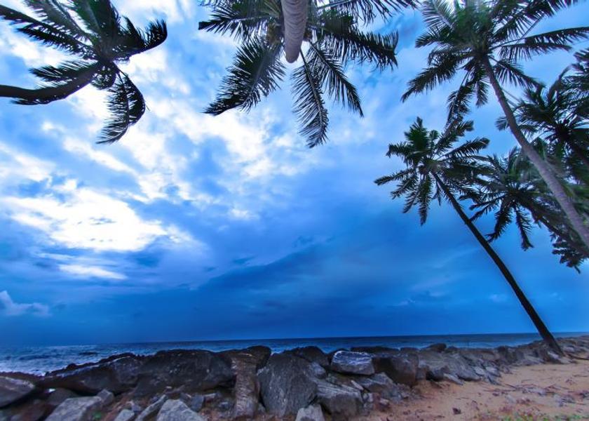North Western Province Marawila Surrounding environment