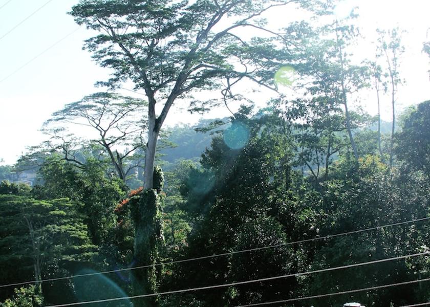 Central Province Kandy Aerial View