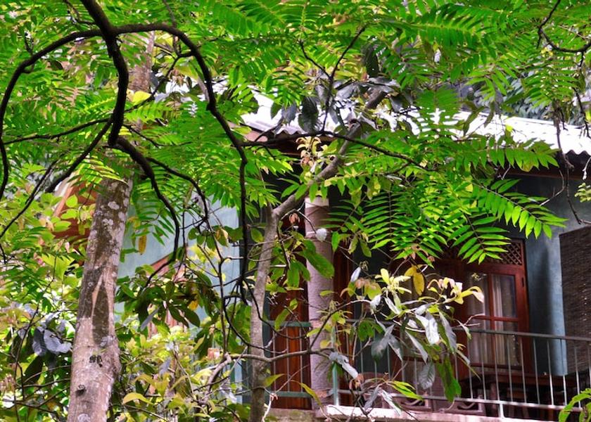 Uva Province Ella Room
