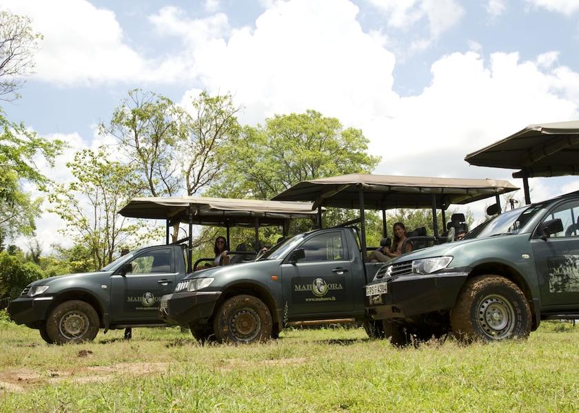North Central Province Pahala Maragahawewa Safari