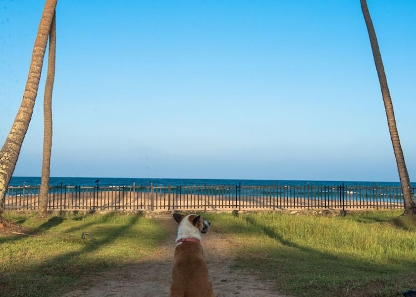 Ampara District Pottuvil View from Property