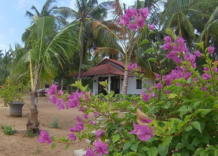 Southern Province Tangalle Exterior