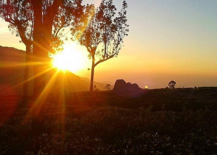 Badulla District Haputale Terrace