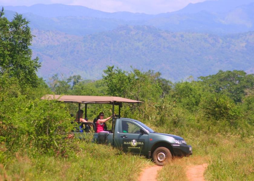 Uva Province Rankethgama Safari