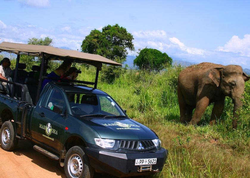 Uva Province Rankethgama Safari