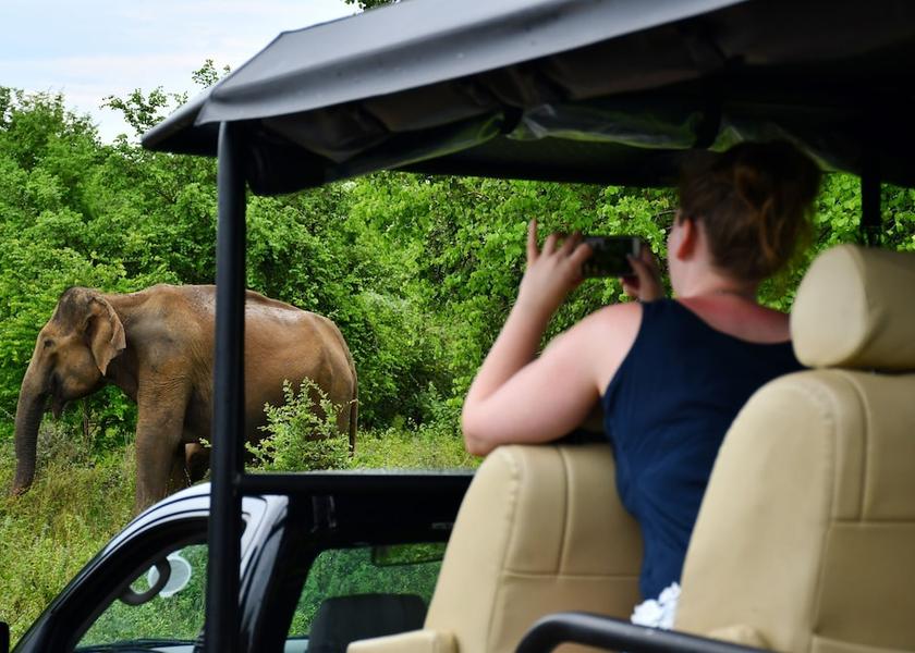 Uva Province Rankethgama Safari