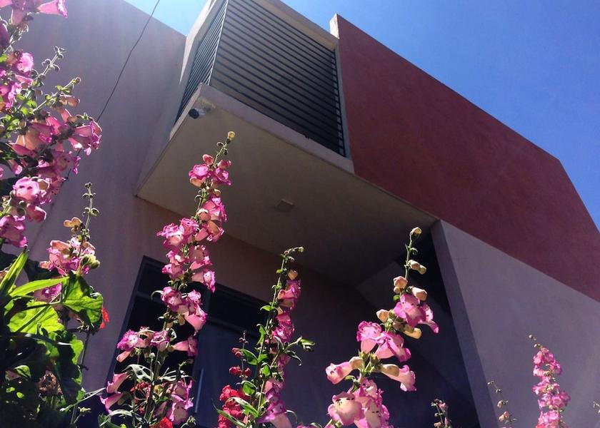 Nuwara Eliya District Nuwara Eliya Entrance