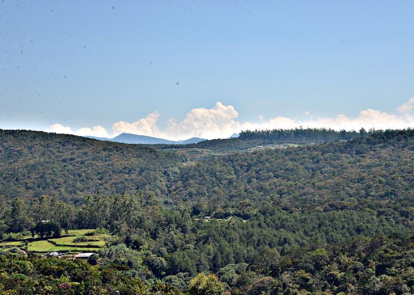 Nuwara Eliya District Nuwara Eliya View from Property