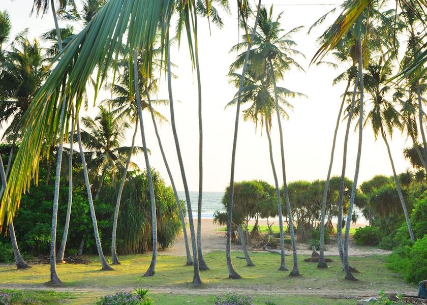 Galle District Bentota View From Room