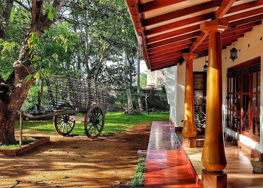 Anuradhapura District Anuradhapura View from Property