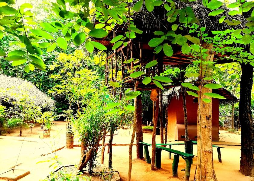 Central Province Sigiriya Exterior