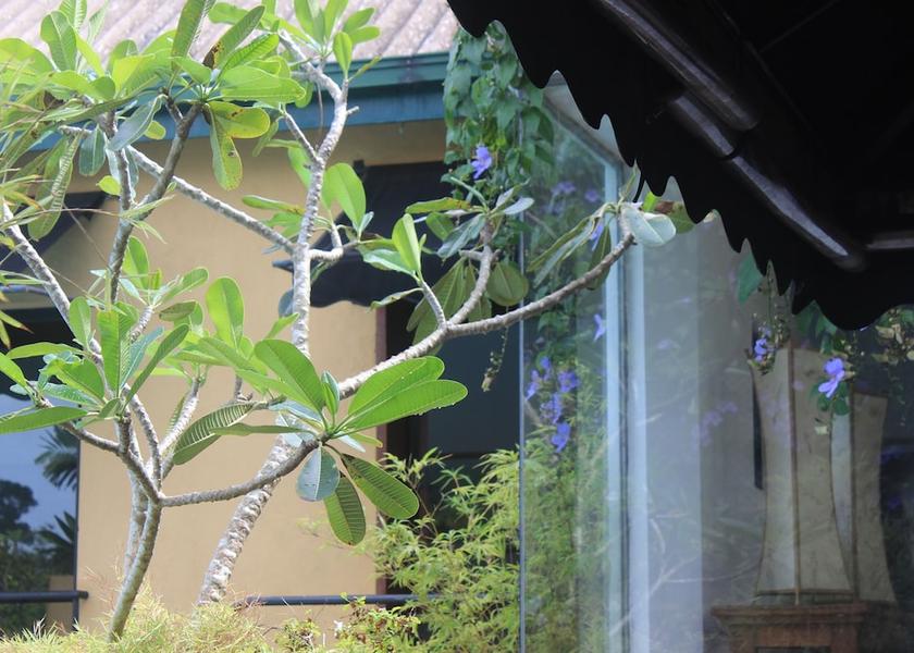 Western Province Sri Jayawardenepura Kotte Garden