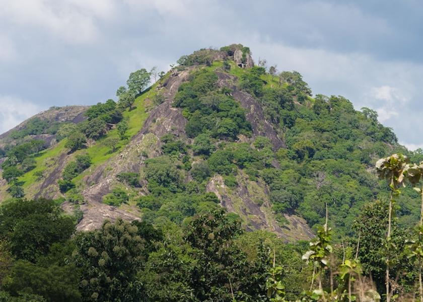 Central Province Dambulla View from property