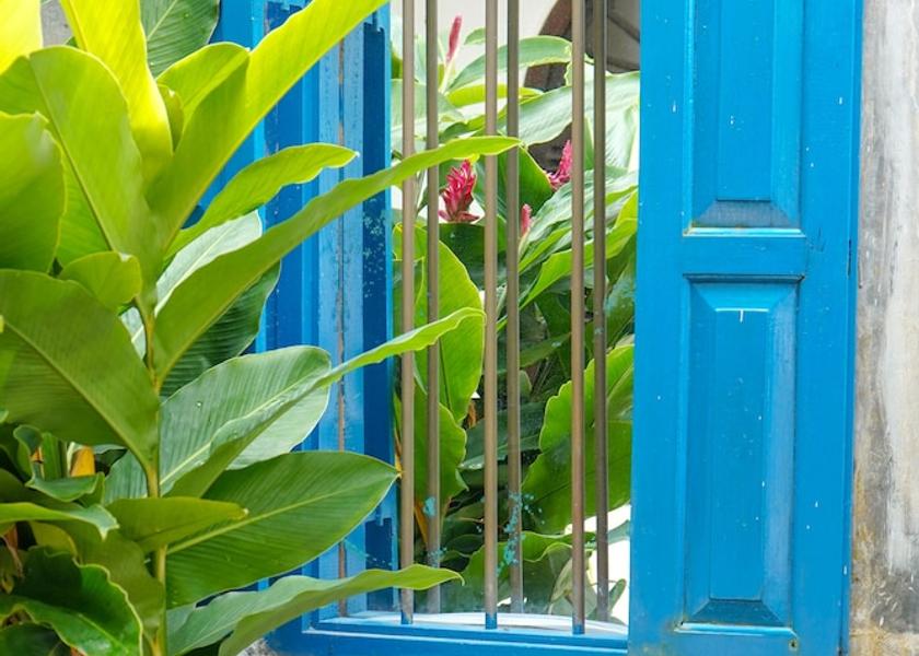 Southern Province Galle Garden