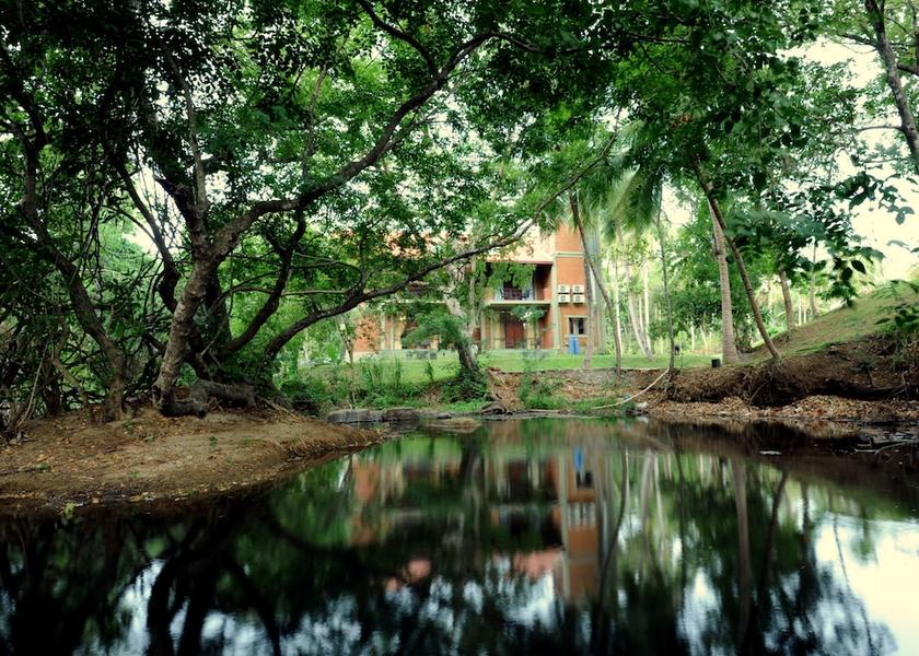 Central Province Dambulla Lake