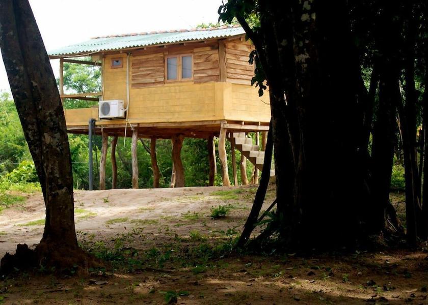 Anuradhapura District Habarana View from Property