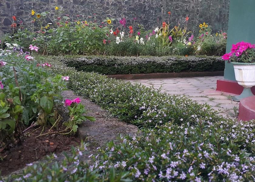 Nuwara Eliya District Nuwara Eliya Garden