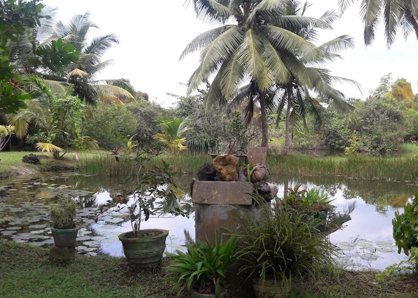 Southern Province Madampagama View from Property