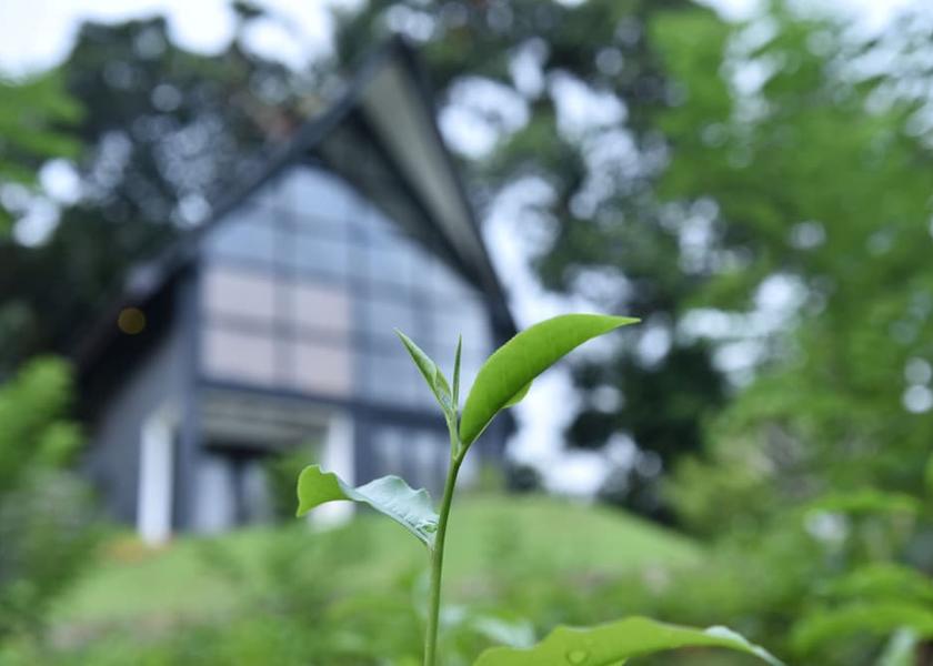 Galle District Galle Garden