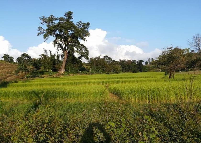 Mandalay Region Pyin Oo Lwin Property grounds