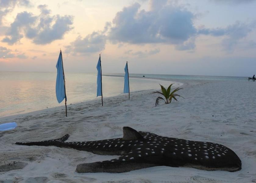 South Ari Atoll Omadhoo Beach