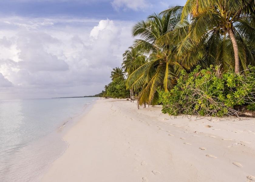 Laamu Atoll Gan Island Beach