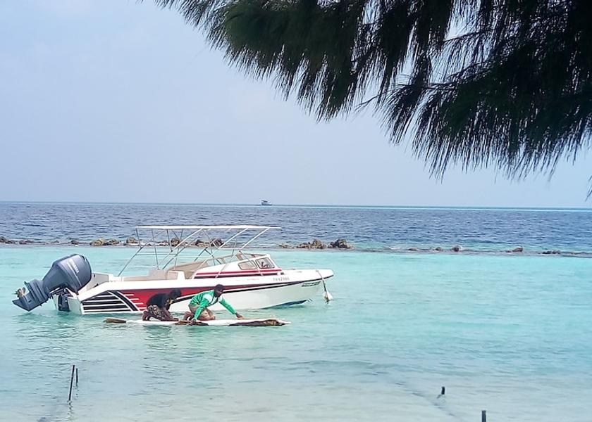 Kaafu Atoll Thulusdhoo Island Beach