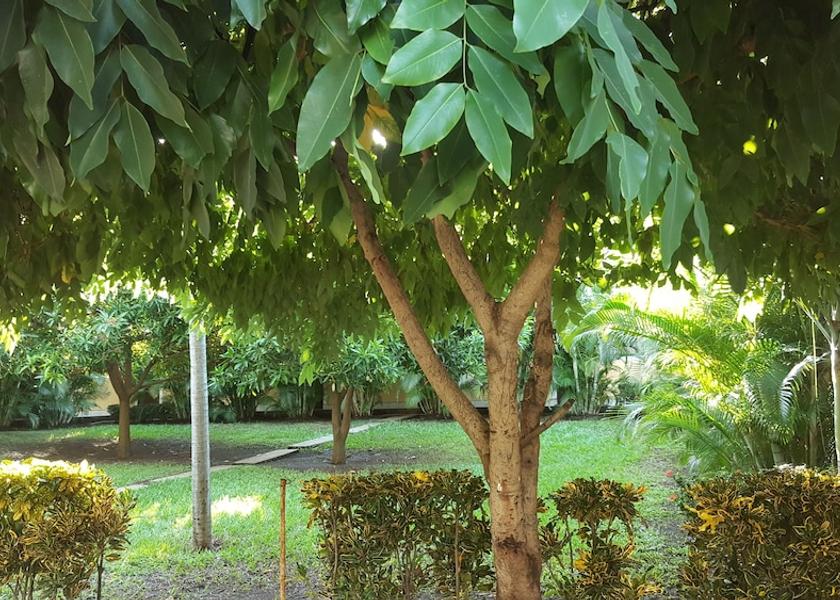 Managua (department) Managua Terrace