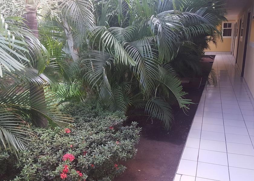 Managua Department Managua Terrace/patio