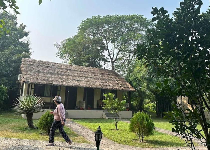 Lumbini Lumbini Room