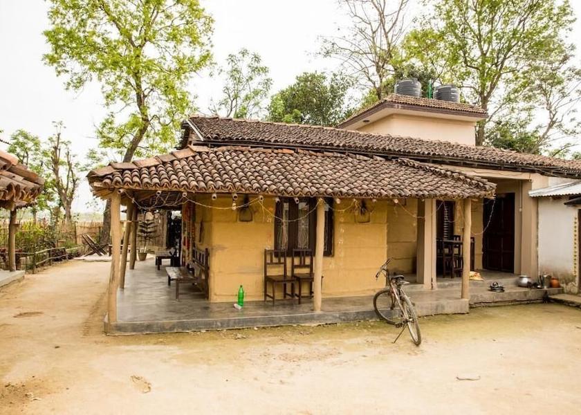  Sauraha Exterior Detail