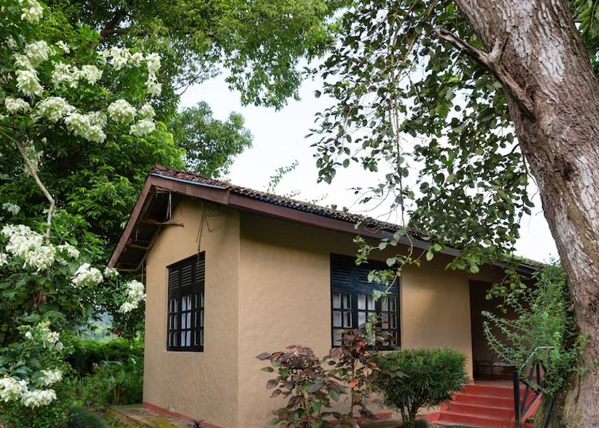  Sauraha Exterior Detail