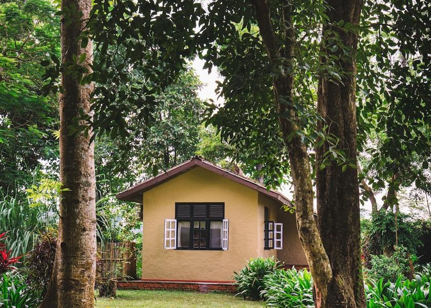  Sauraha Exterior Detail