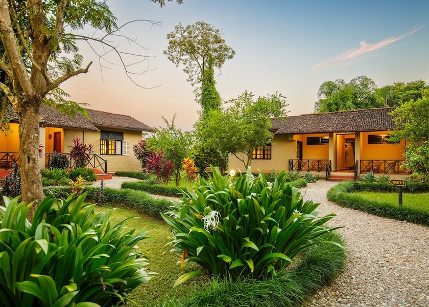  Sauraha Property Grounds