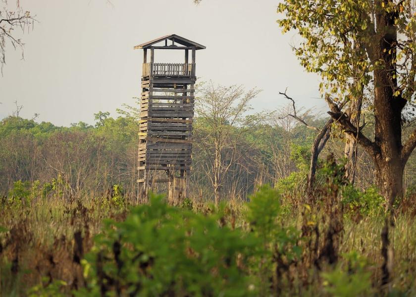  Bardia Safari and game