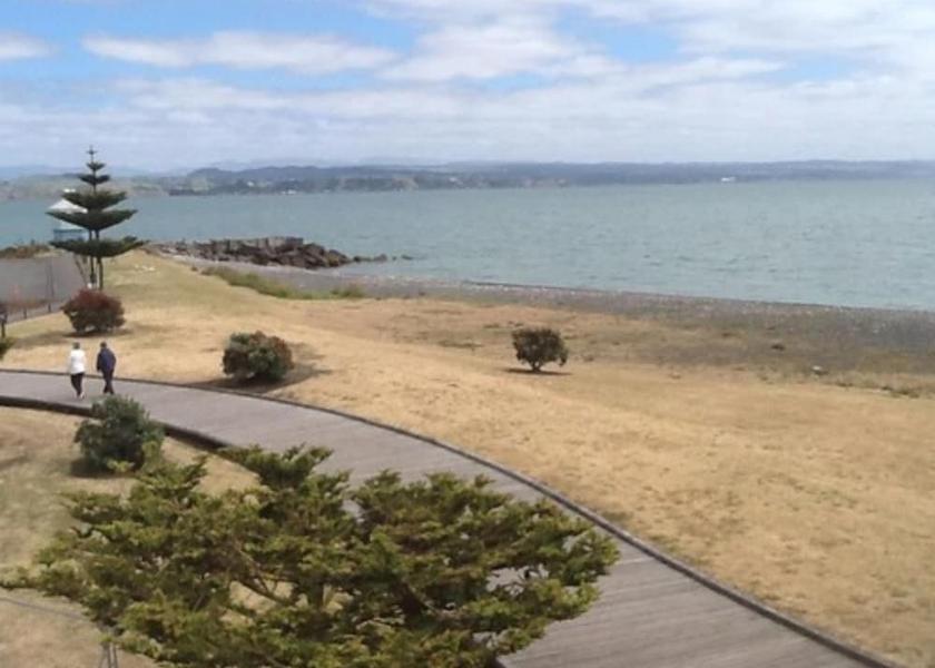  Napier Beach