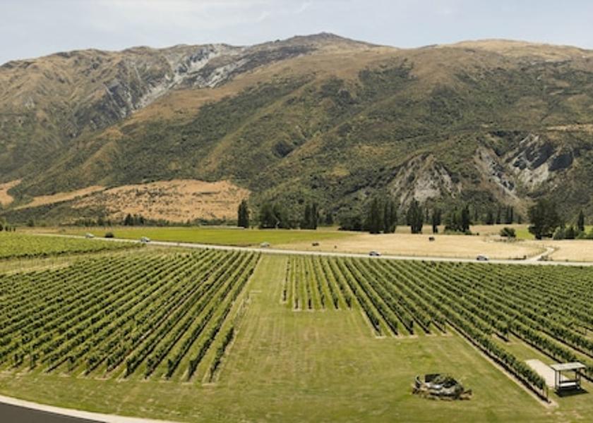 Otago Gibbston Property Grounds