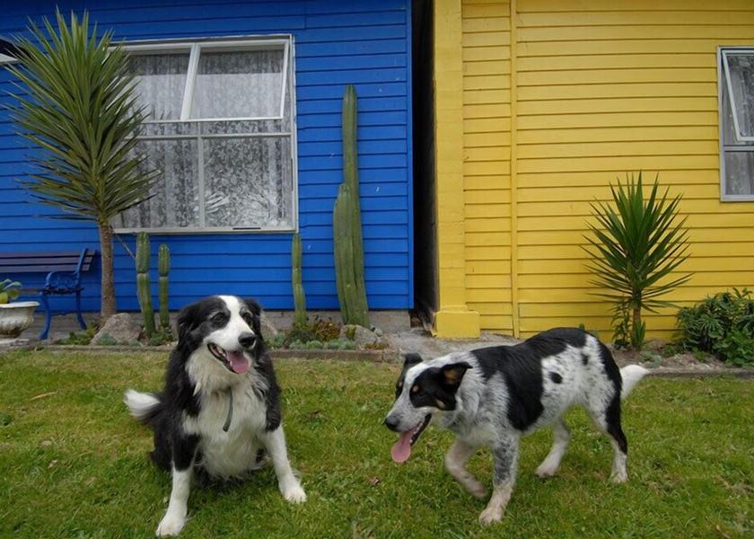 West Coast Karamea Property Grounds