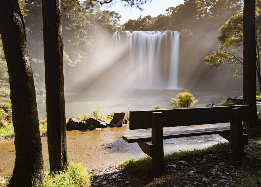 Ropes Course (Team Building)