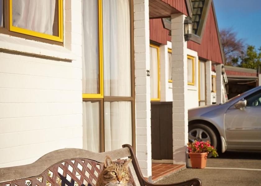 Southland Invercargill Breakfast area