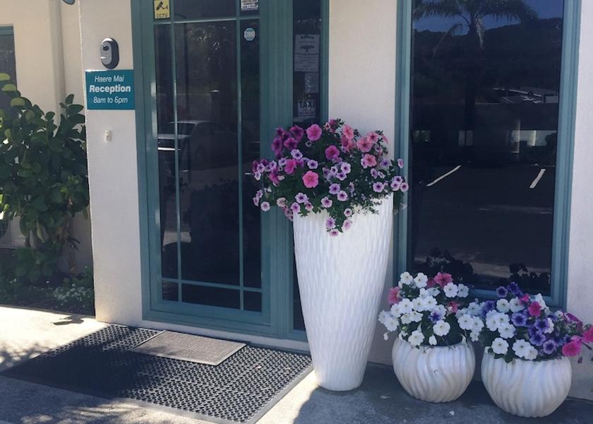 Northland Paihia Reception