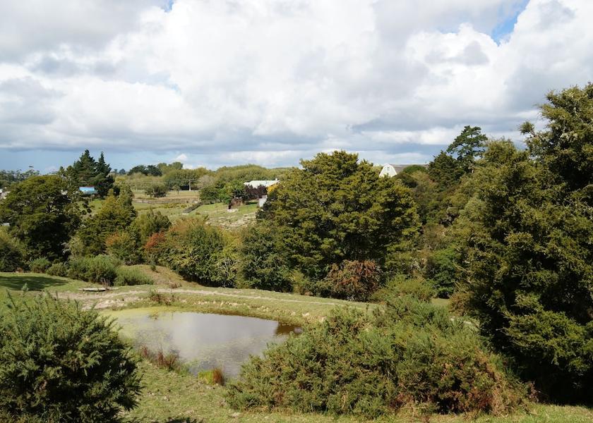 Auckland Region Dairy Flat View from Property