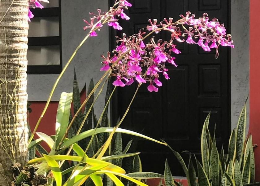 Veraguas Santiago Property Grounds