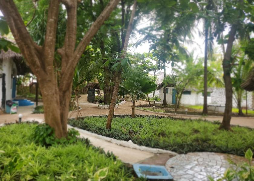 Unguja Kusini Region Bwejuu Facade