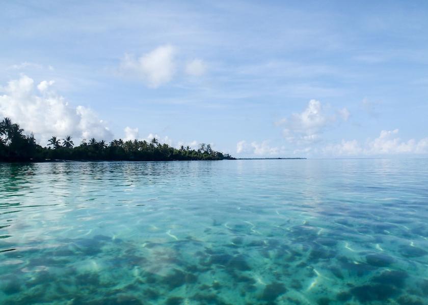 Kaskazini Pemba Region Pemba Island View from Property