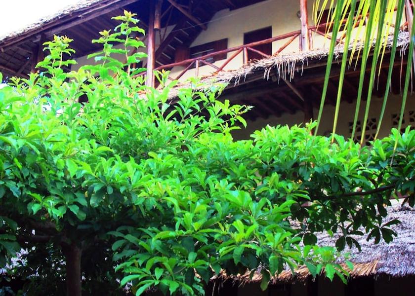 Unguja Kusini Region Jambiani Property Grounds